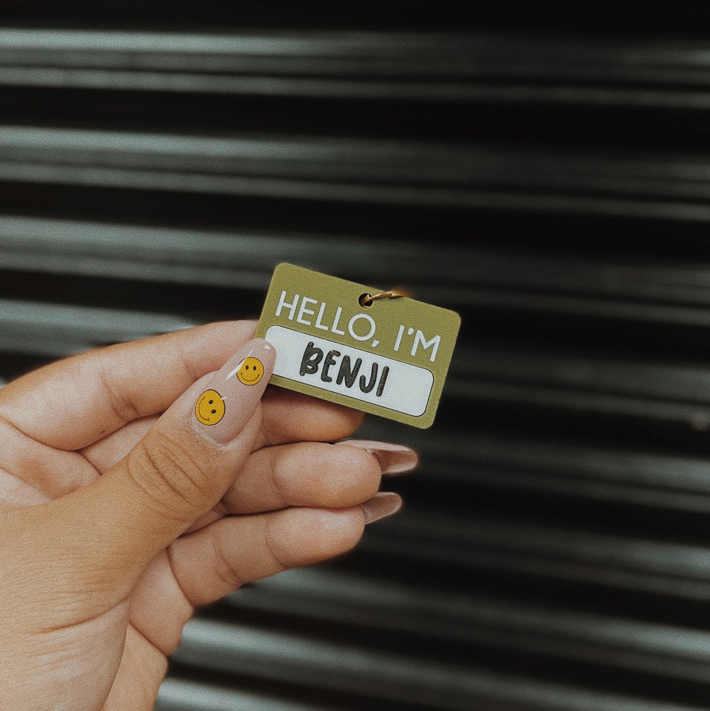 Personalized Acrylic Pet Tag