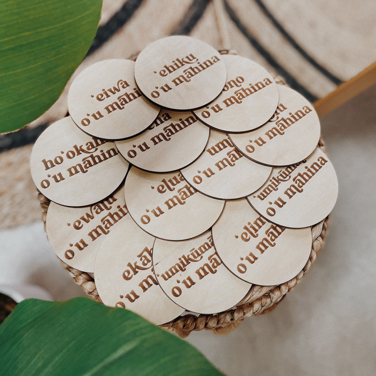 Hawaiian Themed Wooden Baby Milestones