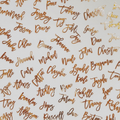 Acrylic Name Place Cards